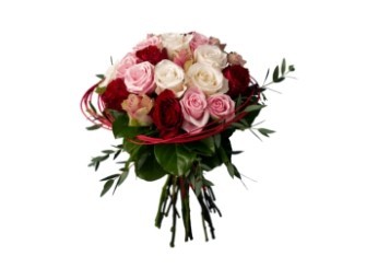 Compre rosas online e receba na sua casa | Liz Garden